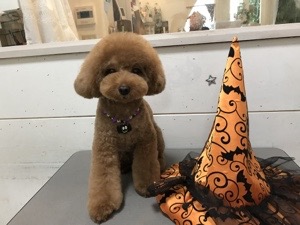 20161018-190925.jpg